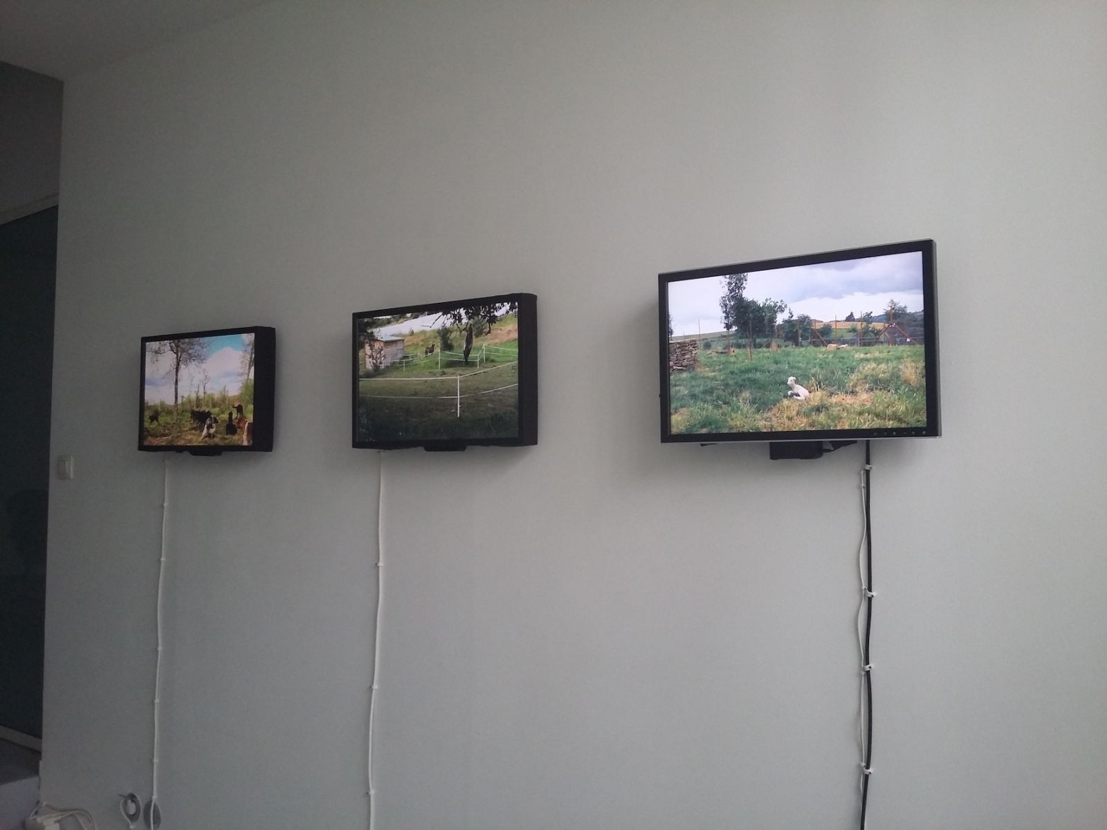 20161001_141615-027af99a0bb85f002c59b366c2566e22