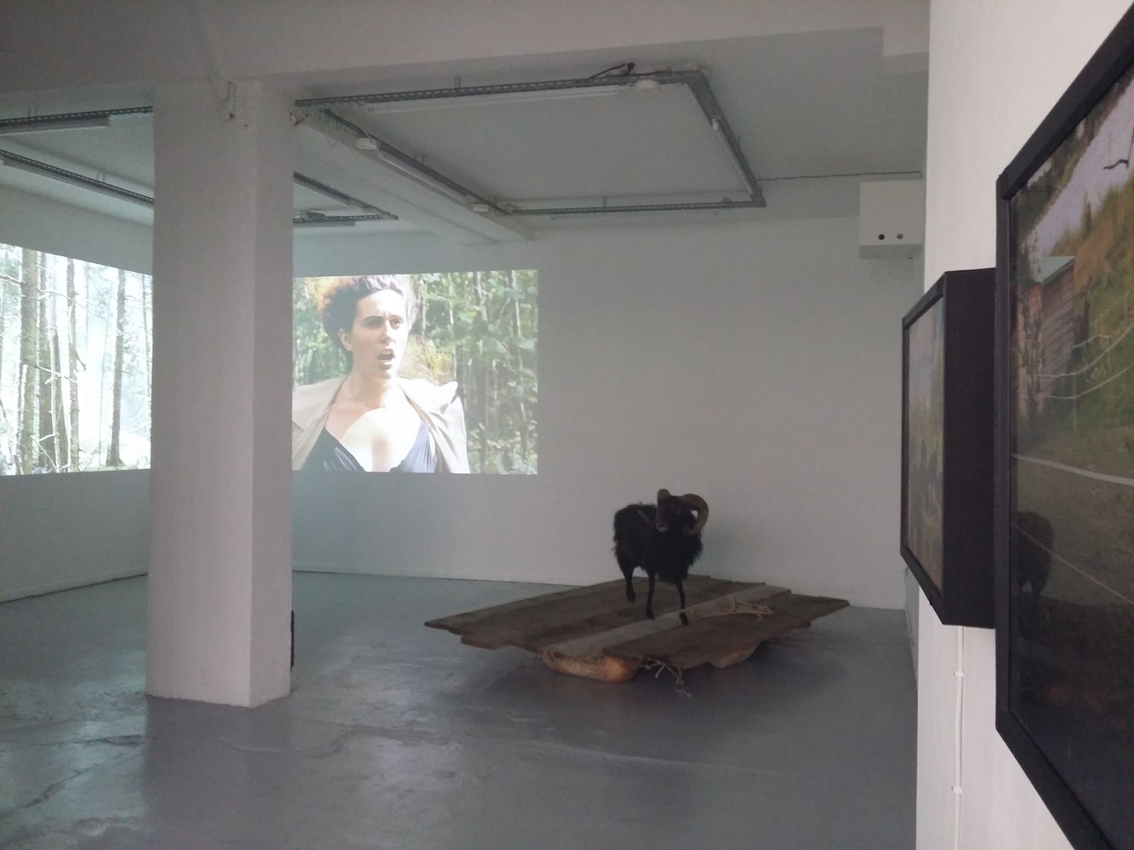 20161001_141647-c6b3c25087f153ec4757e629fafe0e17