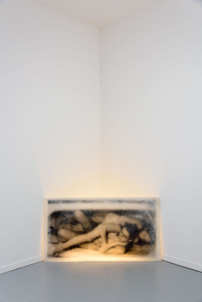 alicia-zaton-umyj-sie-2014-image-emprisonnee-dans-une-plaque-de-cire-paraffine-eclairage-fluo-69x128cm-b303b035fd4b2f312638d559b86657ac