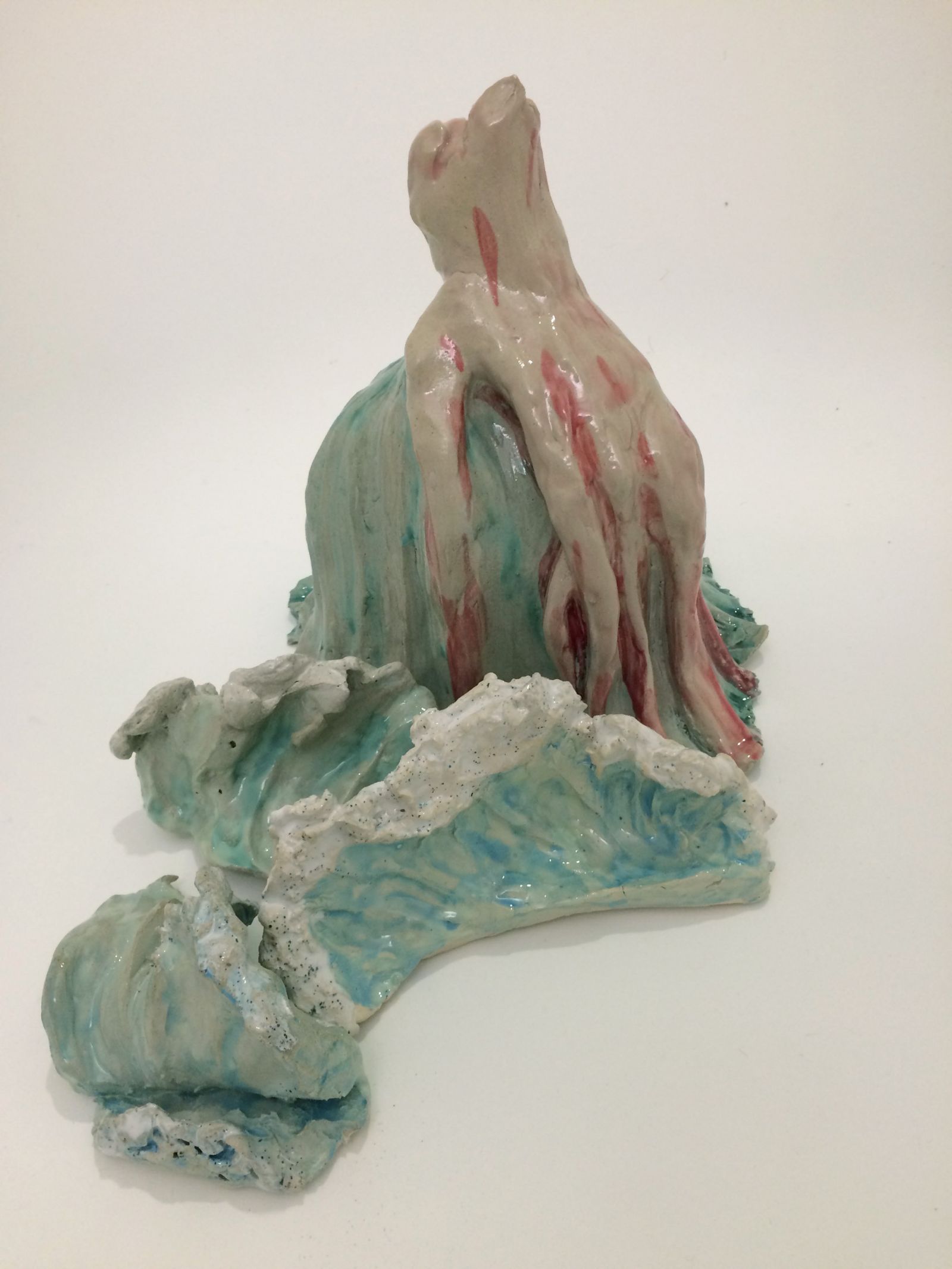 img_216811-fond-blanc-d1d597e8b9e8fb42cc0c4fa6d82bc0ee