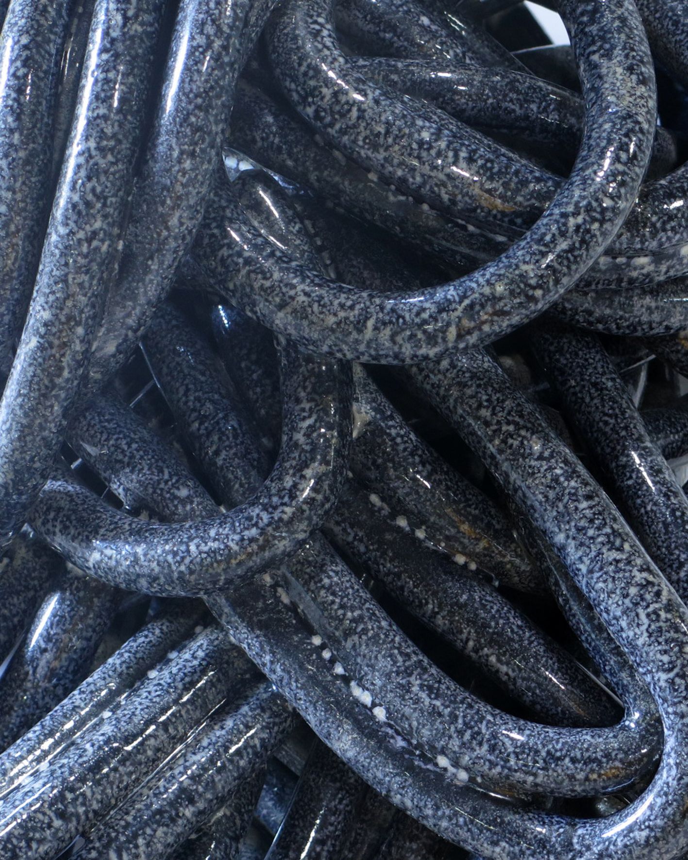 img_3235-b700badc095dea3a162bcc80df2420be