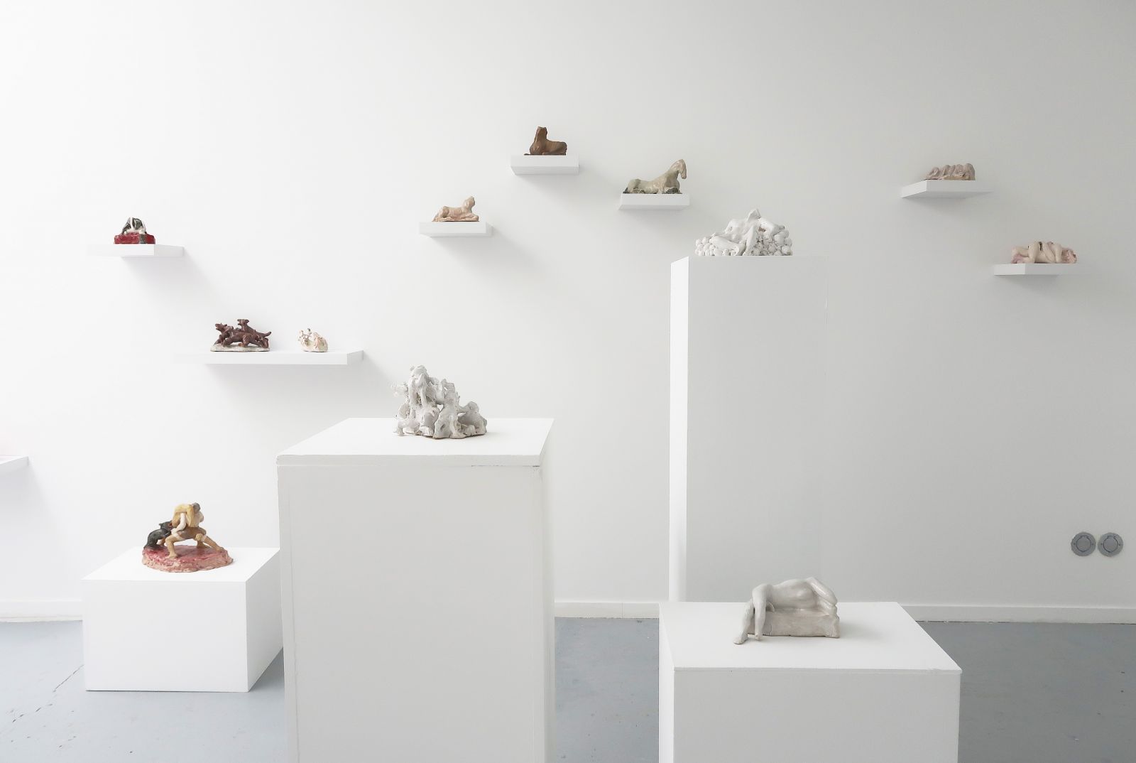 img_8126-cb27c7b6cba77a5cc43d0df9f9755299