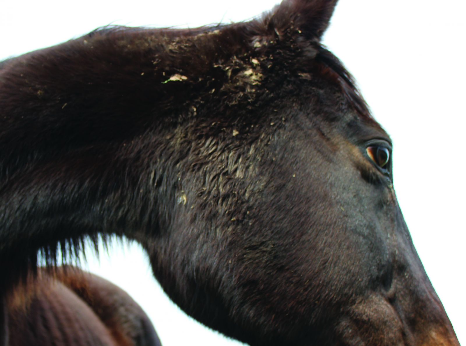 invit-julie-chaffort-rv-160824-recto-233ae1aed34240e7b116d49d9961a56b