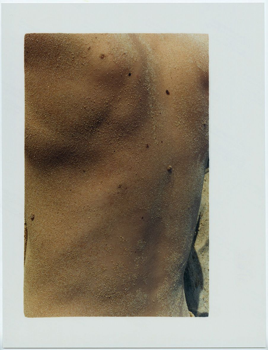 les-metamorphoses_30x40_5ex_033-e0e36a5a0dfc4dab6a25ba7456ec0fef