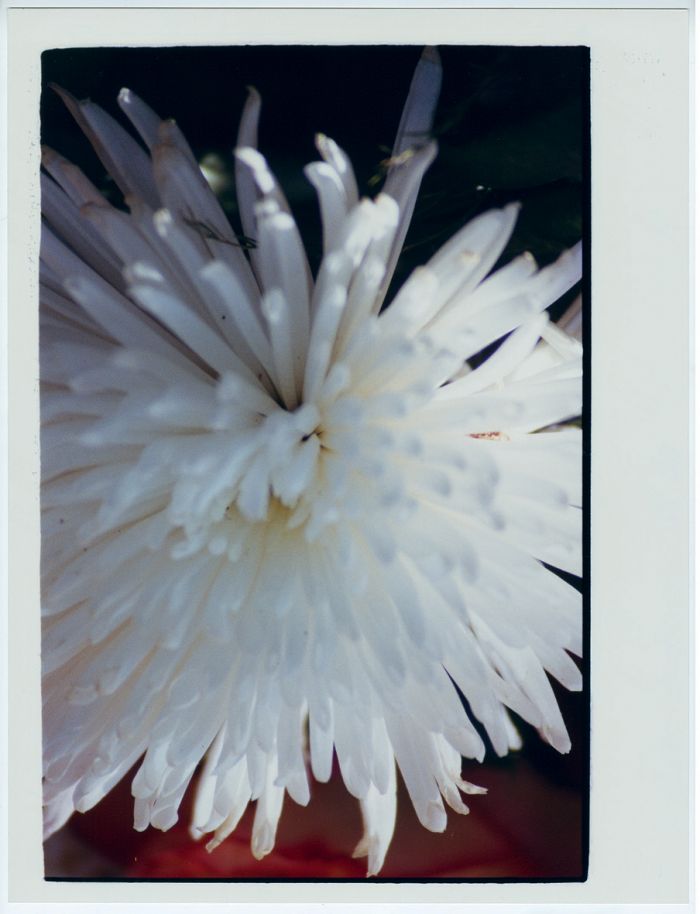 mon-corps-comme-une-plage_30x40cm_5ex_009-04c3d4788d4325245650b7773b025661