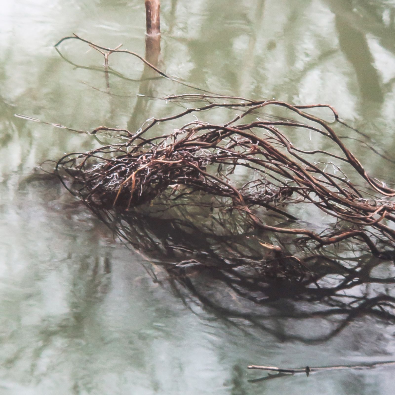 003_retouche-43f99998d04195f33ef487ca9431ea07