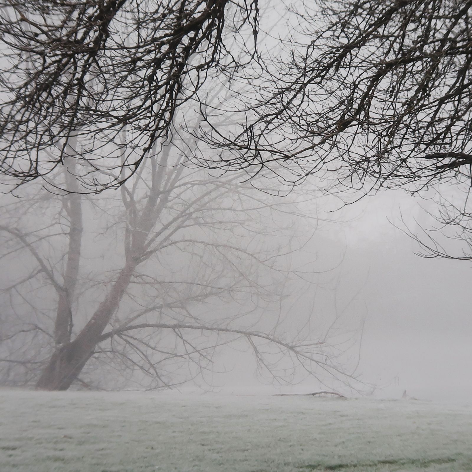 005_retouche-a8ee511330a3ef8cf816987cc016d9ad