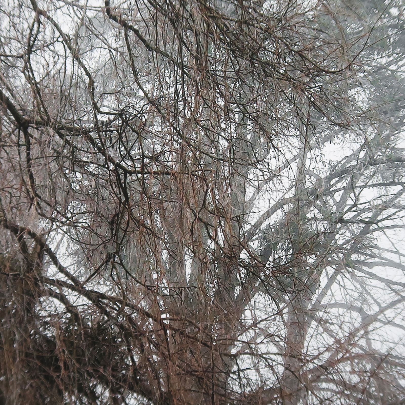 006_retouche-1efccb25b05692f35d1d97e6171eb2e6