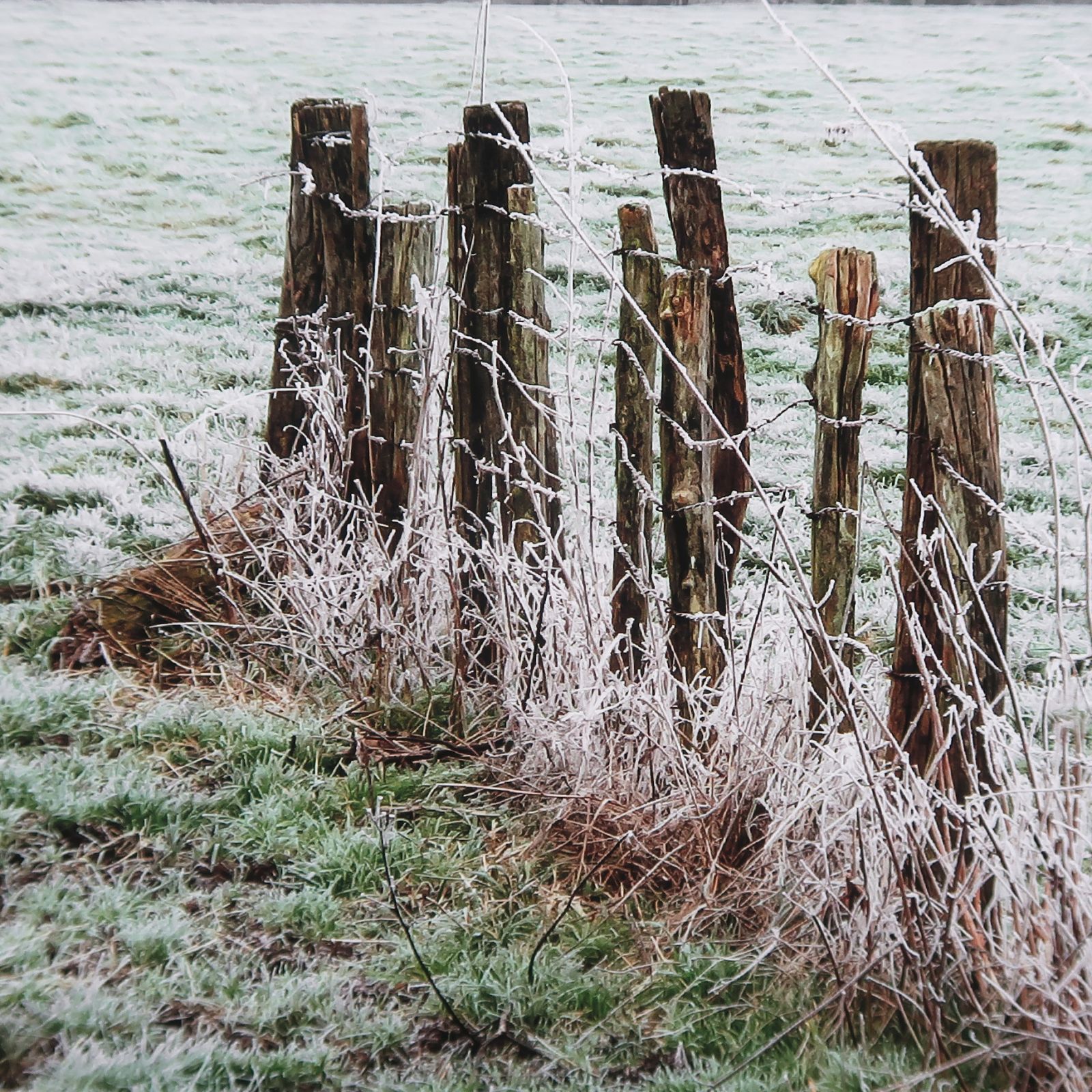 007_retouche-3416d91acd2a829da3b62720ad4f8b3e