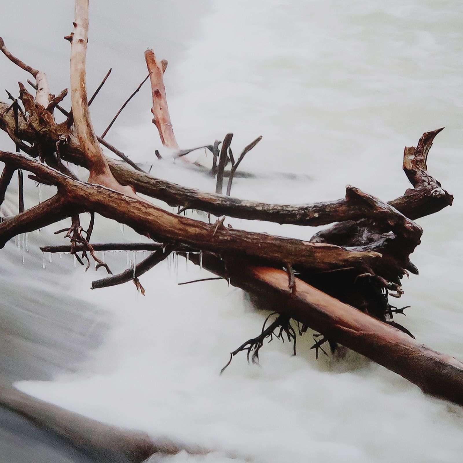 008_retouche-1ecd79faa737765ab6ae3157eee3db07