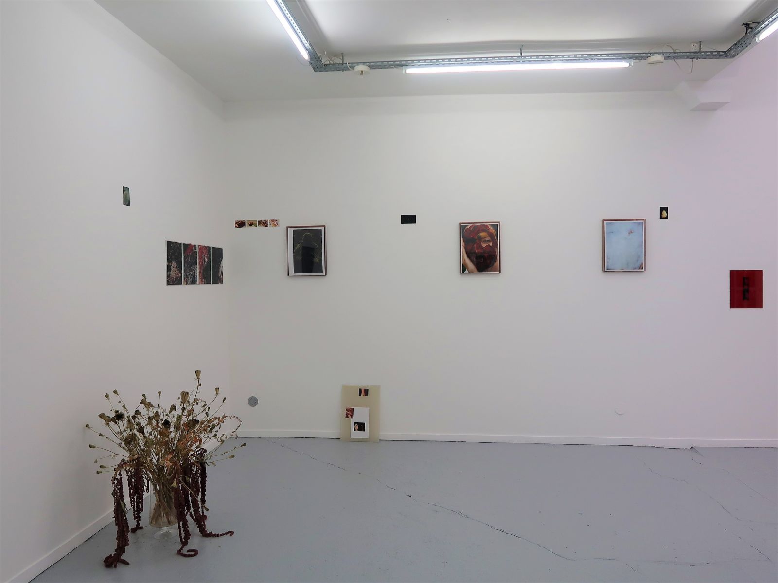 01-rd-e64897d18ad0f7f527248aa97c597a5f