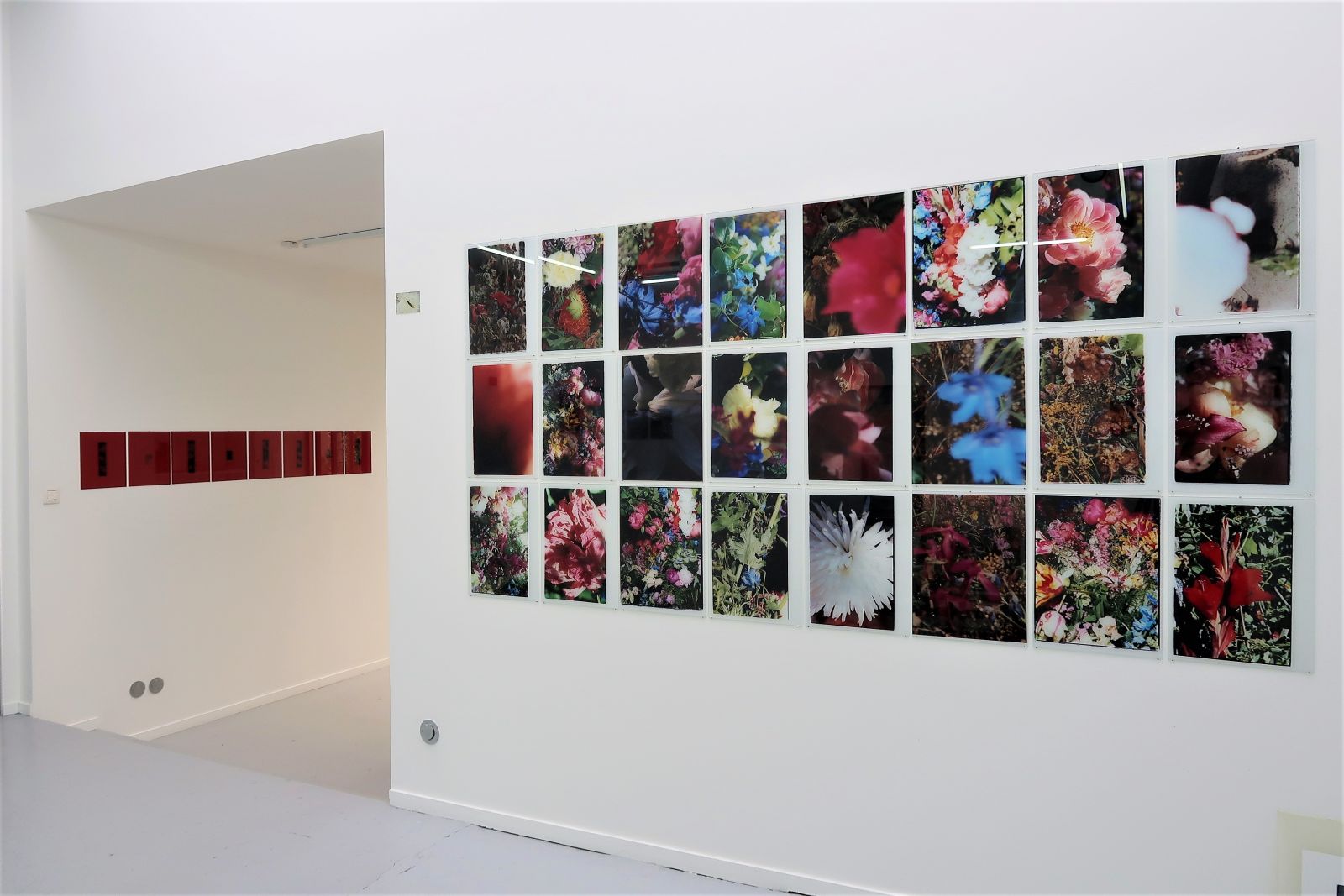 04-rd-9249e0765c654c47135c9279f4da643f