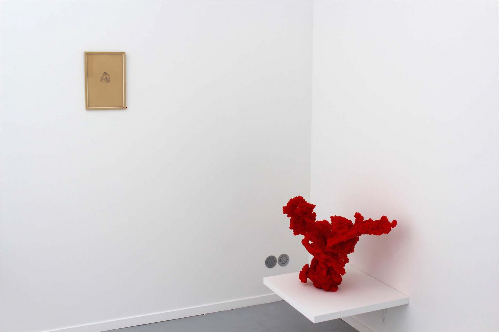 06-caillliou-pg-b0dd3967078f86b30d32bad9a0d27ef3