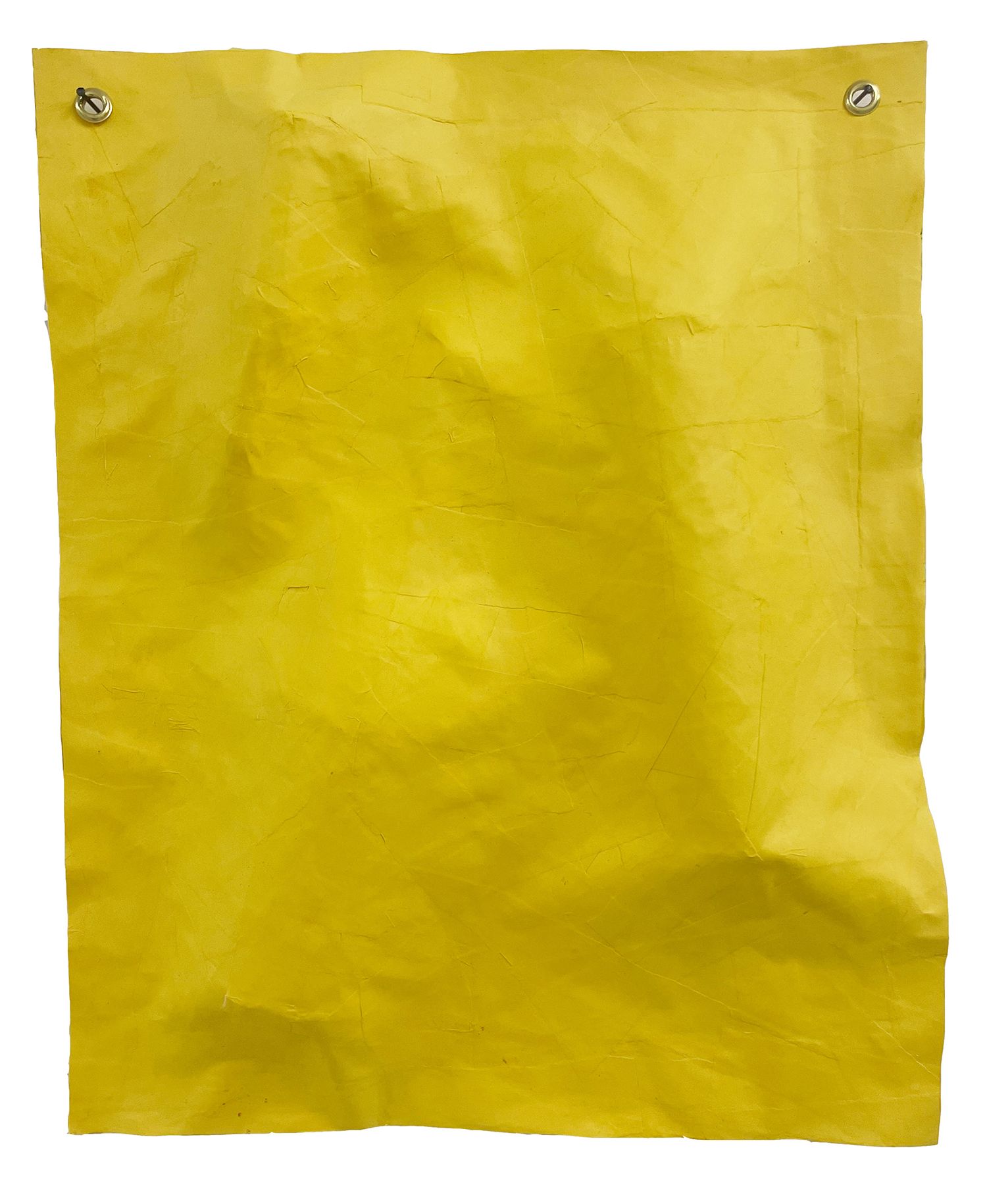 09-yellow-paper-pled-e03e744a674ca5637af11aa952707948
