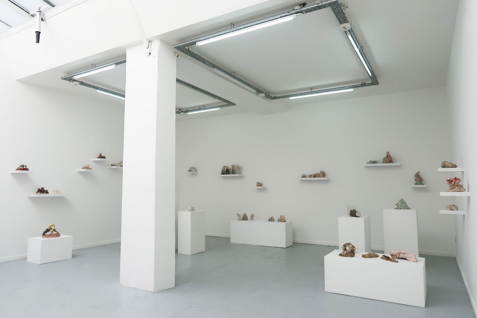 1.img-8151-77a84b472b6a893dab1957dd99cf0ab0