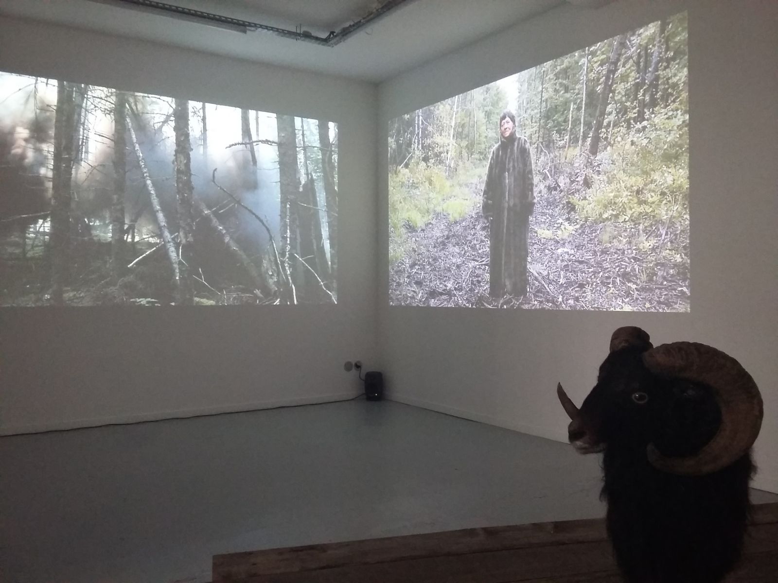 20161001_141859-85a226f7d701a316ec722243e94e0a61