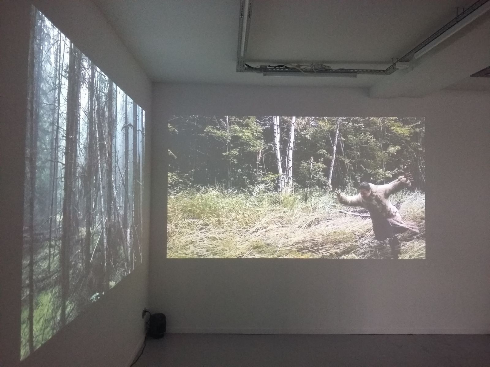 20161001_142059-0e666822db798efc2f89aea5a9e503df