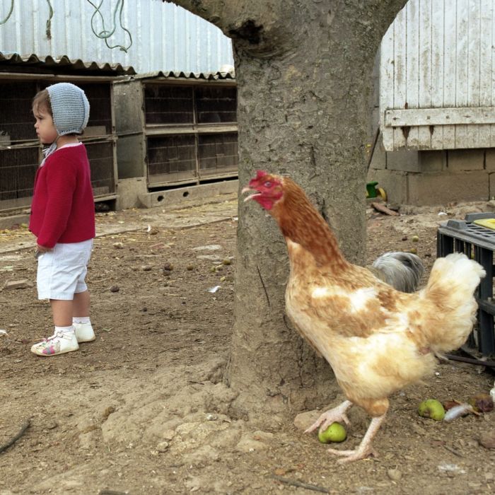 25les-coupes096-68f9698c976e7e413738d6e3e000c952