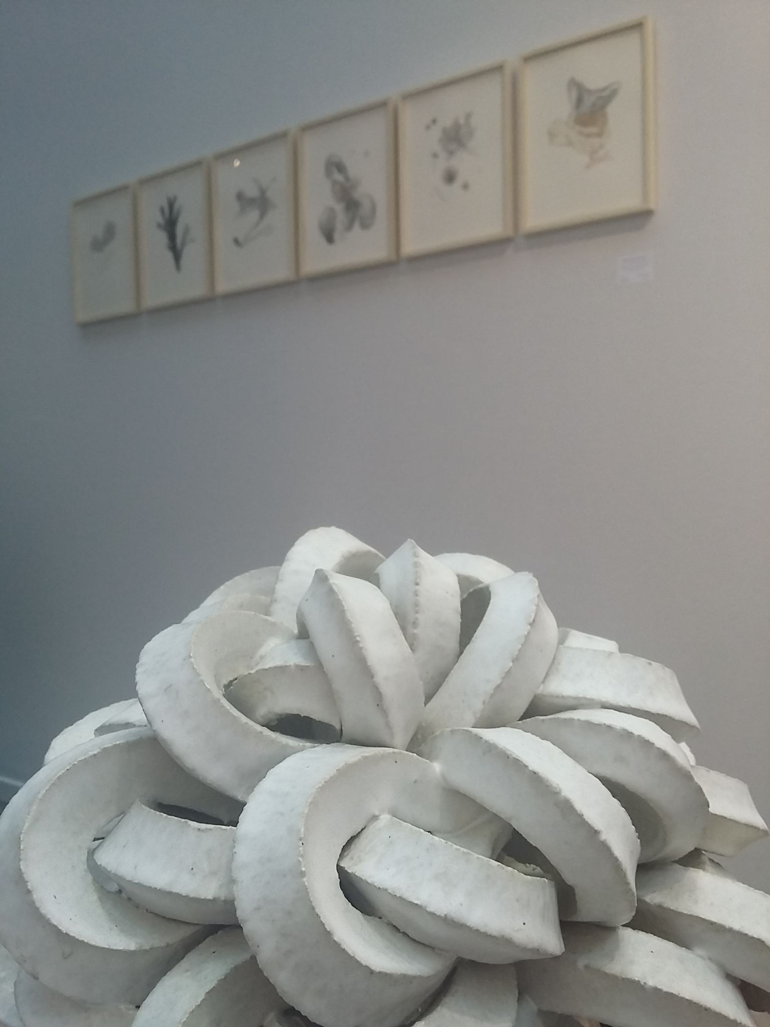 4-1225759563f0fddf47e883022cb4a211