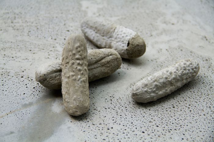alicia-zaton-ogurki-2014-serie-de-moulages-de-cornichons-en-beton-tirage-unique-dimensions-variables-entre-12-et-4-cm-cd1c3f1e789b35def85e40d0e465985a