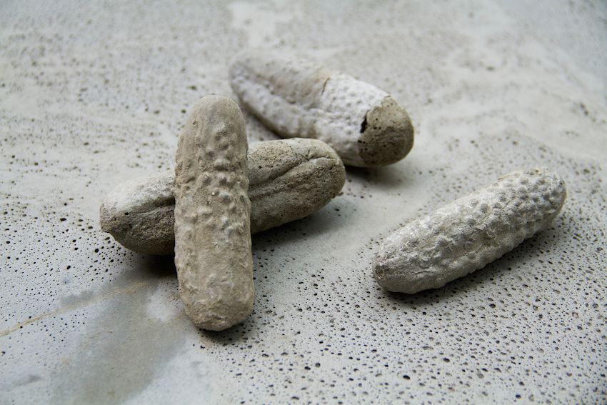 alicia-zaton-ogurki-2014-serie-de-moulages-de-cornichons-en-beton-tirage-unique-dimensions-variables-entre-12-et-4-cm-e5f5337221c5976b9ee1bc5da574f577
