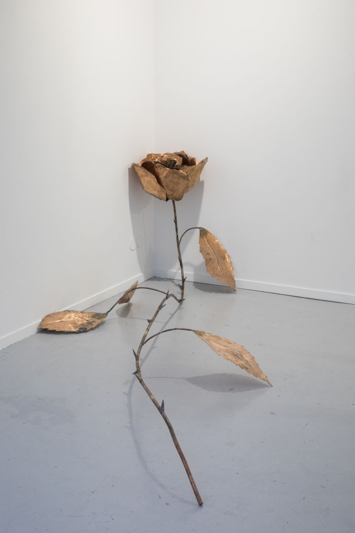 az-laame-0e59ae1bb5289350271871c62187b335