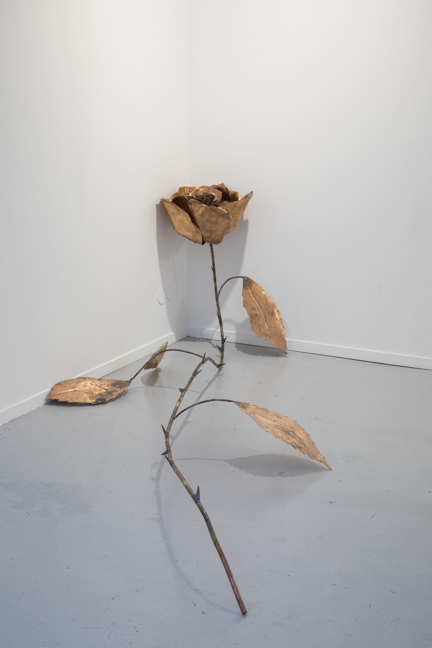 az-laame-c9500ea274011bd952265d715fd549ff