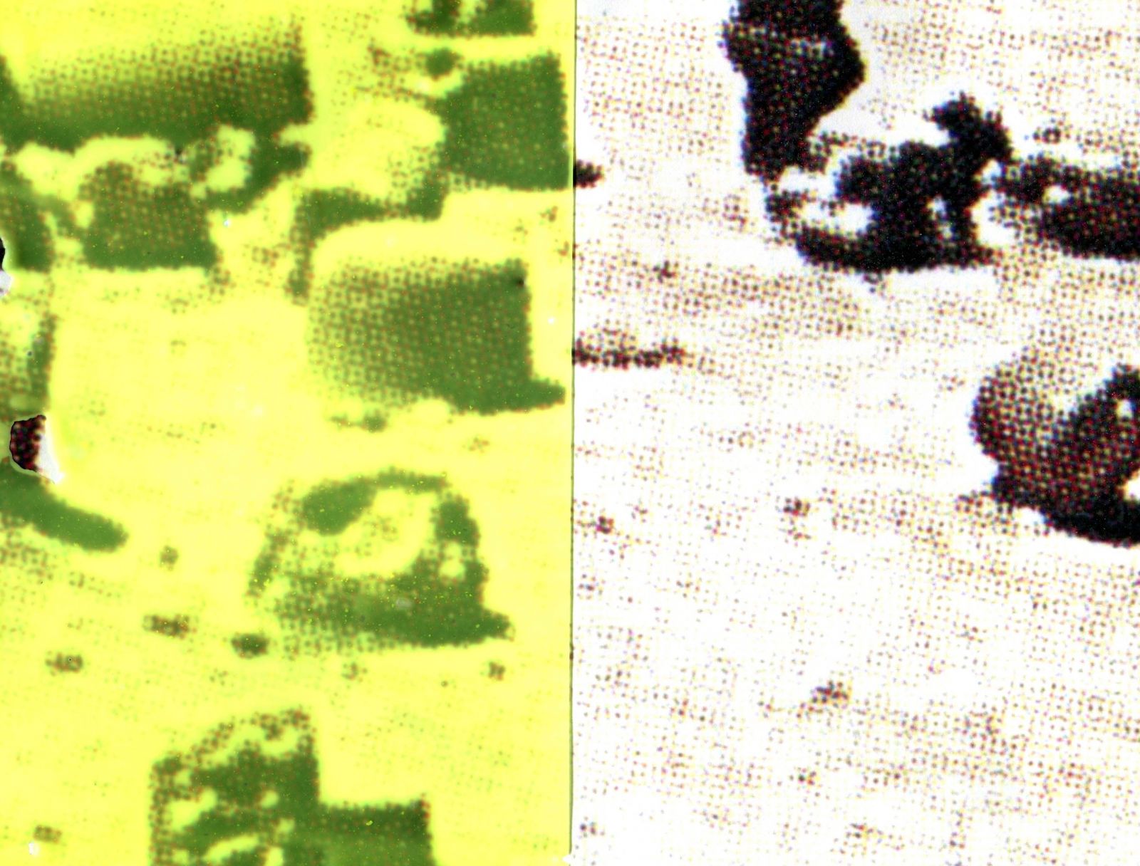 descolonnesnemoinscom-light-2e11b4c4beb44e09c880ca833aa648c2