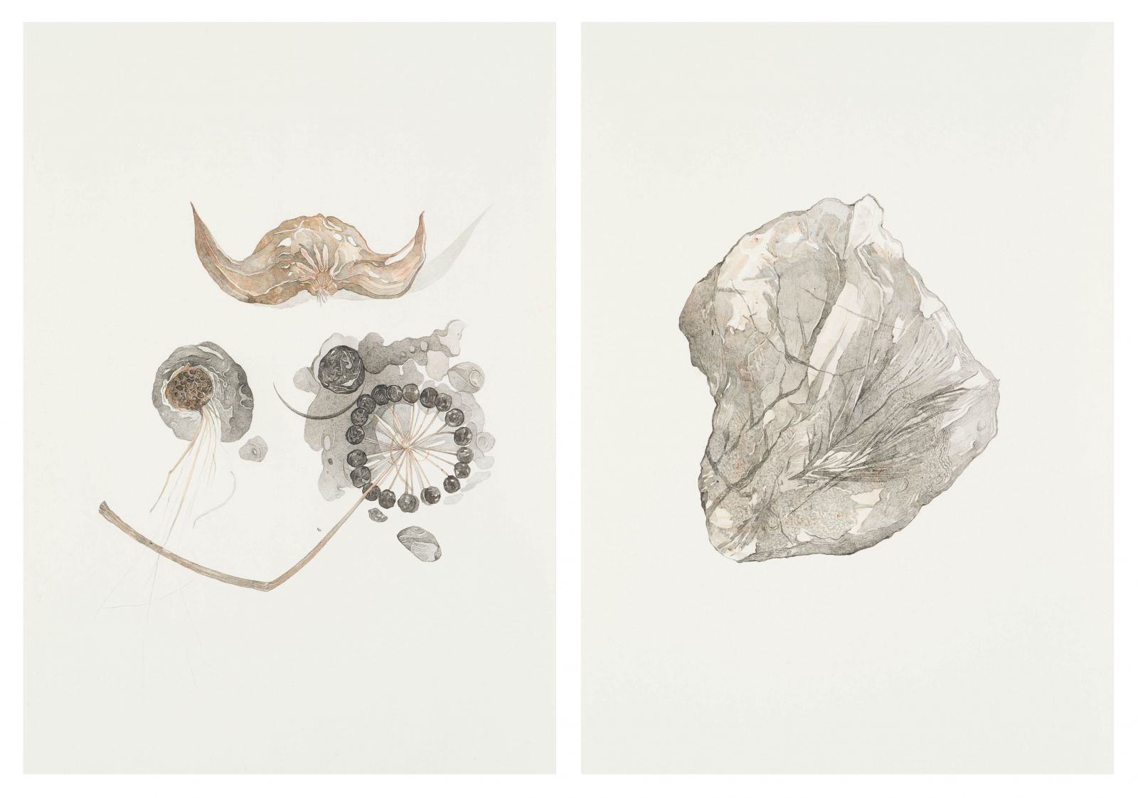 diptyque-v2-8fbdb406dfdf31cdfb8adbf548935b85