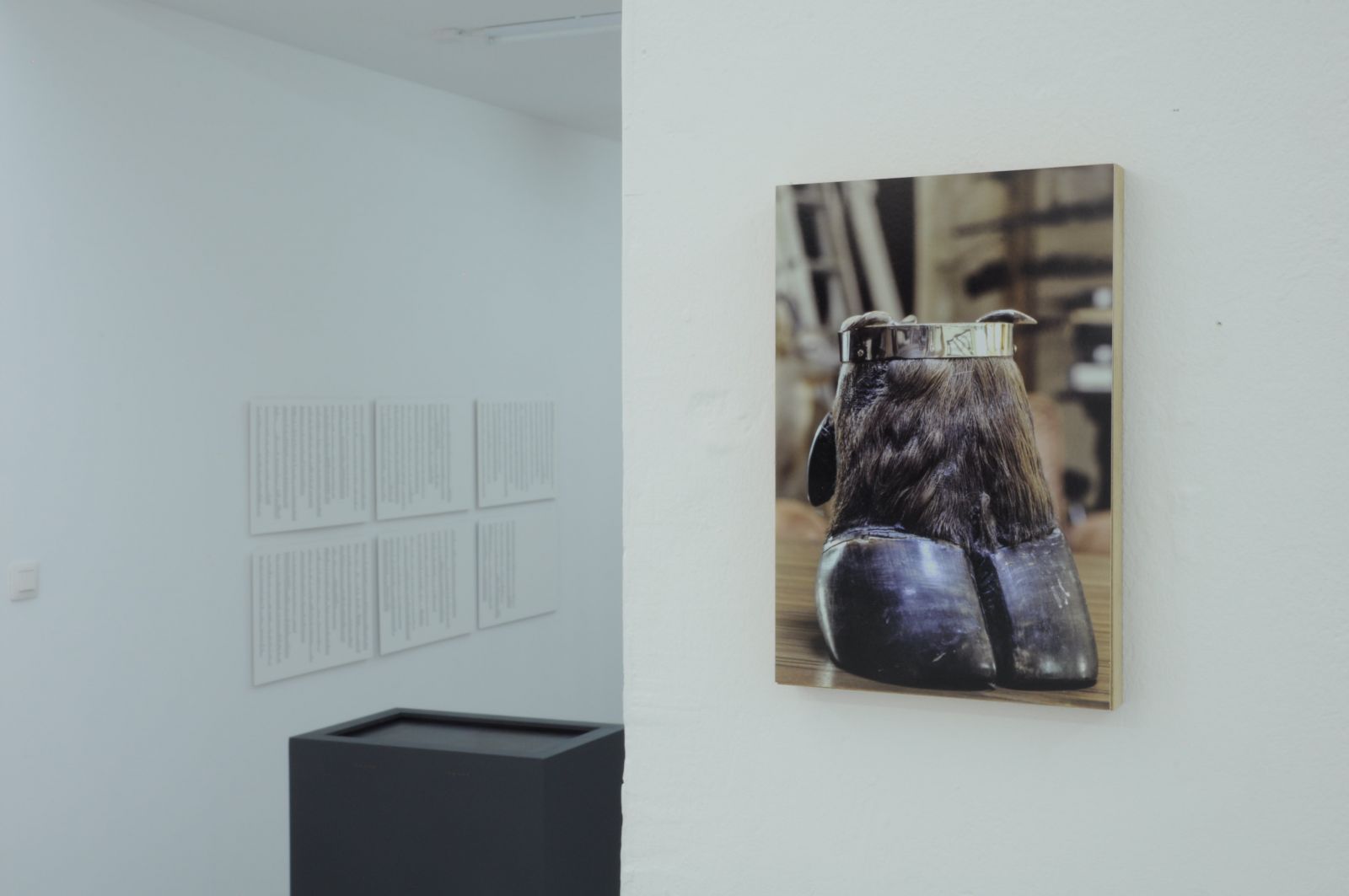 dsc_0128-3a94cf935f2530d9538abaddd41463ae