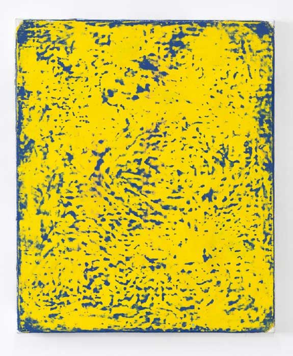 e.cheneau-128-bleu-jaune-46-x-38-2016-2017-2312b1b15e6de33fe98ac17965529d32