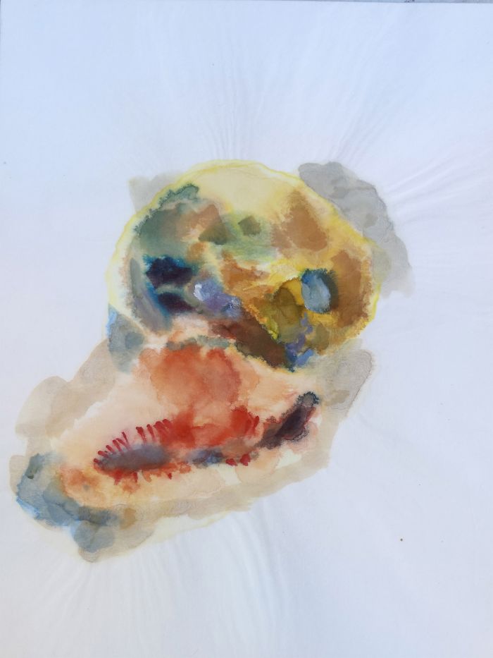 er-4_enfantcrane-coquillage-copie-light-bf32614d75162fd67af2641a900ca9e6