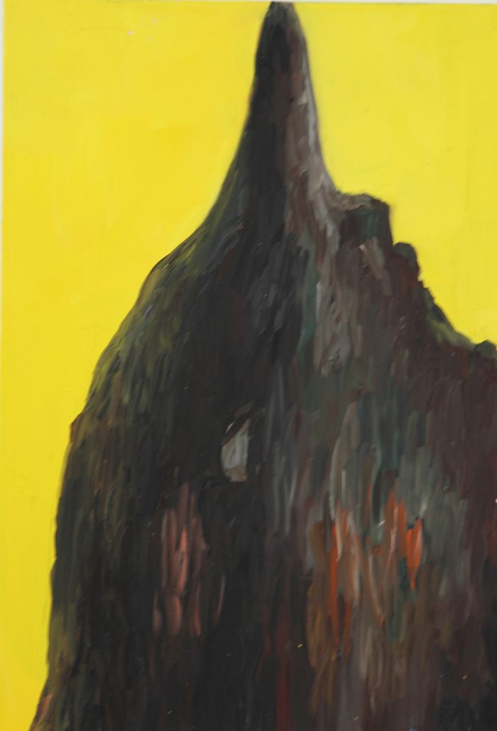 florence-reymond-sans-titre-serie-montagnes-noires-2015-huile-sur-toile-114x146cm-4b9b531cdf8a69cf7e0d20a7ca304551