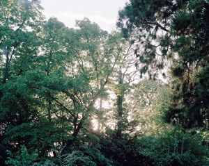 image_marguaret_dearing-4615f969aa0d6bdccf902384db88ce9e