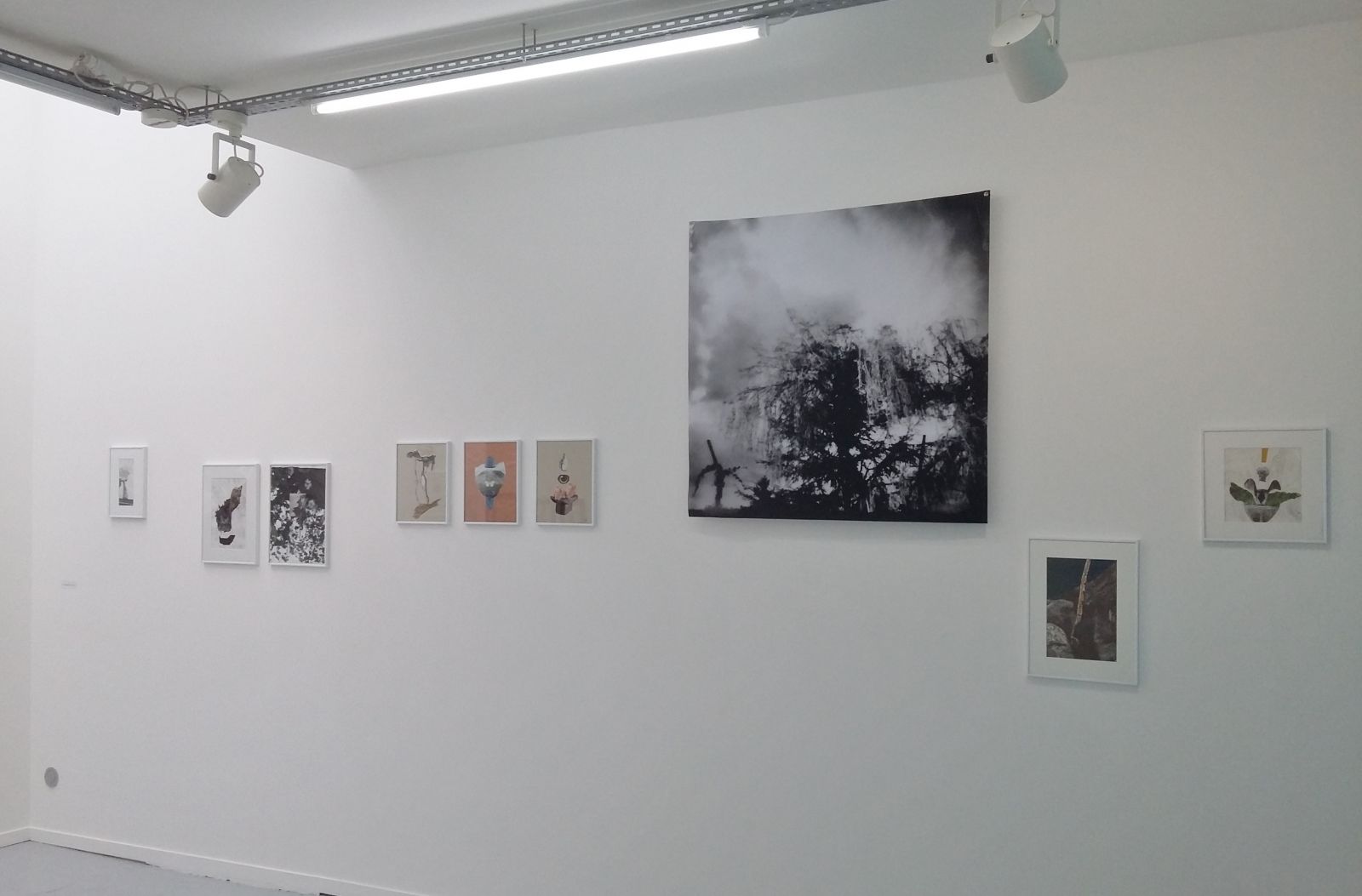 ja3-90f3833d4b4958938104a8fa0511f5bb