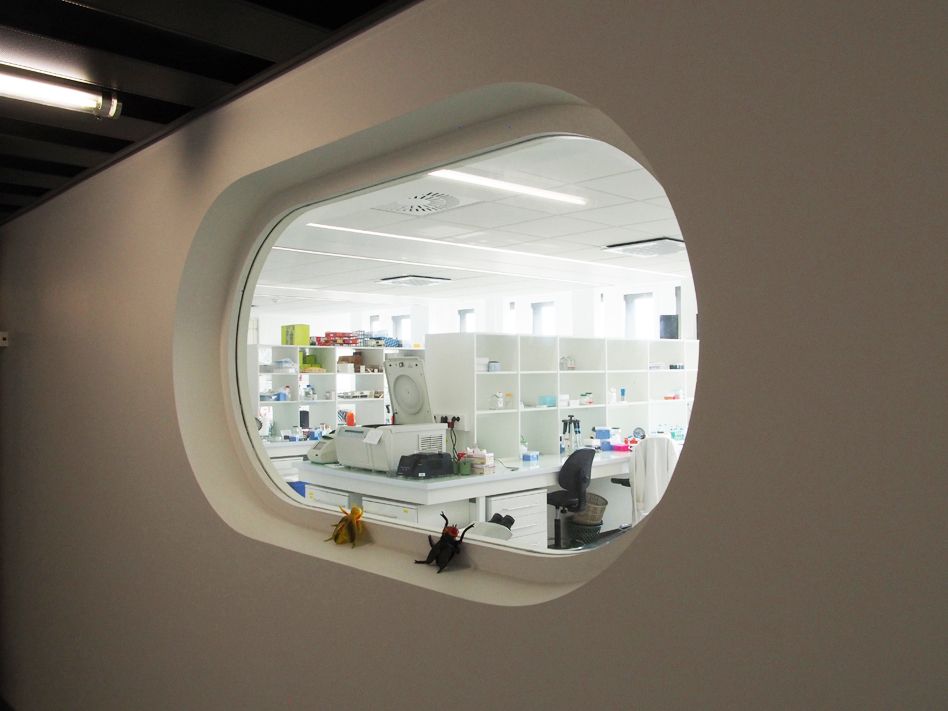 les-hublots-1-les-drosophiles-pour-les-interieurs-light-982bdab5fd6f4459b9ce781e1cdd712e