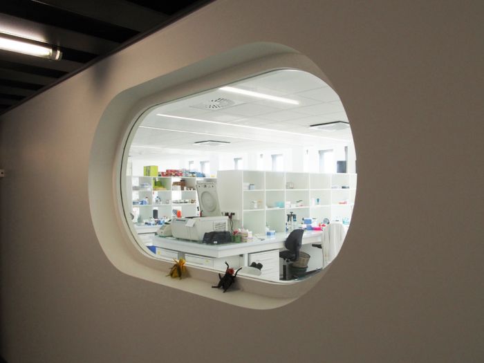 les-hublots-1-les-drosophiles-pour-les-interieurs-light-b0786a82f95914b785abd9dd1fda5b81