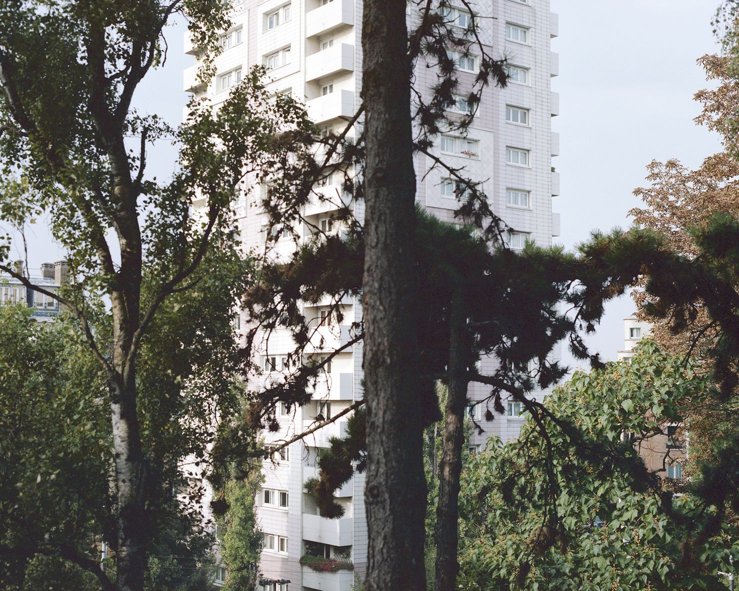 margaret-dearing-ici-1-2014-tirage-contrecolle-sur-dibon-100x125cm-139fe64753aabbd6de8ed25be646e397