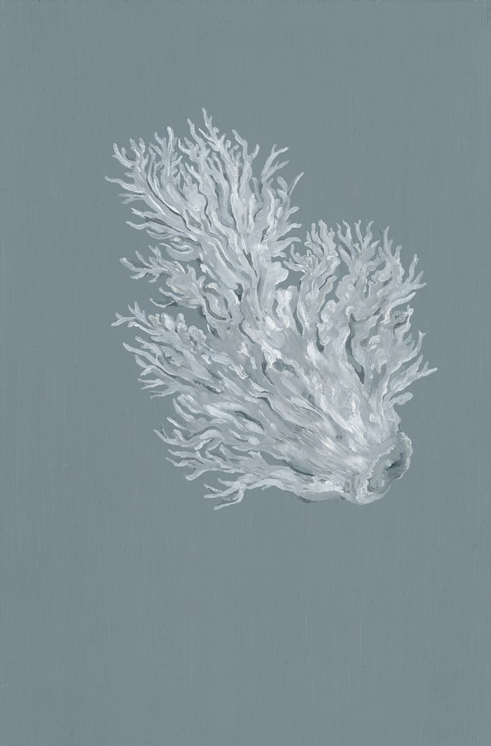 mdv-fantomes_corail-blanc_peinture-issue-d-une-serie-en-cours-de-realisation_huile-sur-carton-entoile_24x16_2018_900e-e2882bcdaee1f48fbaf727579a6b7b40