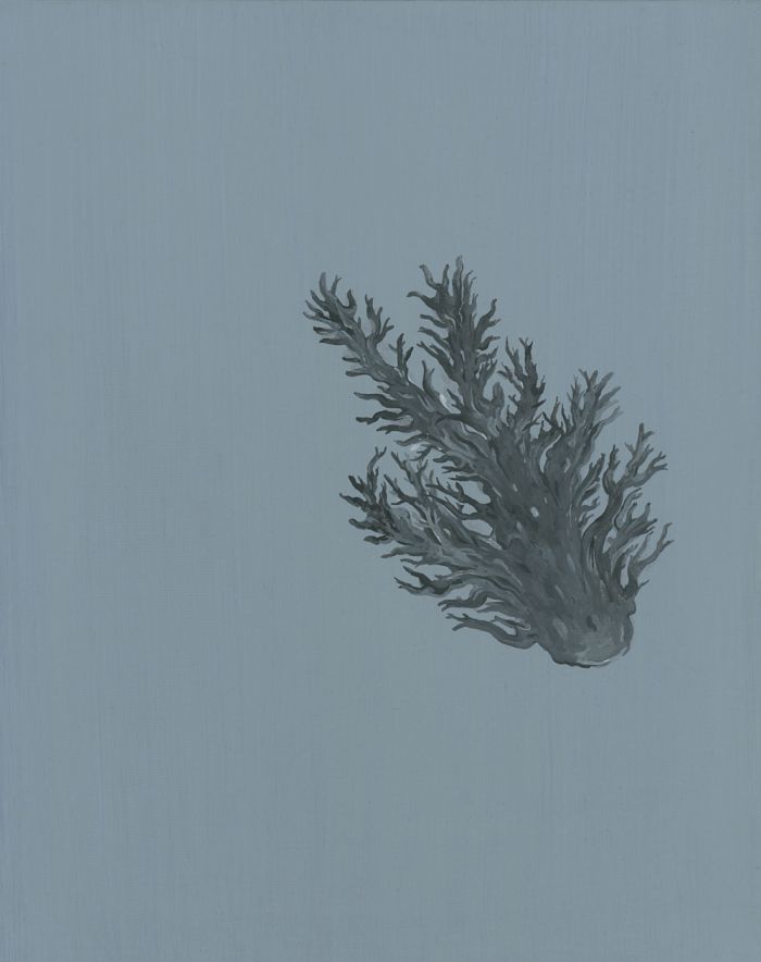 mdv-fantomes_corail-noir_peinture-issue-d-une-serie-en-cours-de-realisation_huile-sur-carton-entoile_29.7x23.7-2018-1200e-bef520fc1d9f0b342f35f67e1de2ee8c