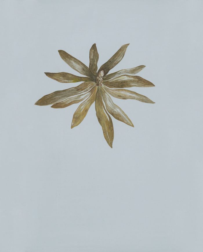 mdv-fantomes_leucadendron_peinture-issue-d-une-serie_huile-sur-carton-entoile_29.7x23.7-2018-1200e-d0485539b10a697c9eb8d1a3ef2150a8