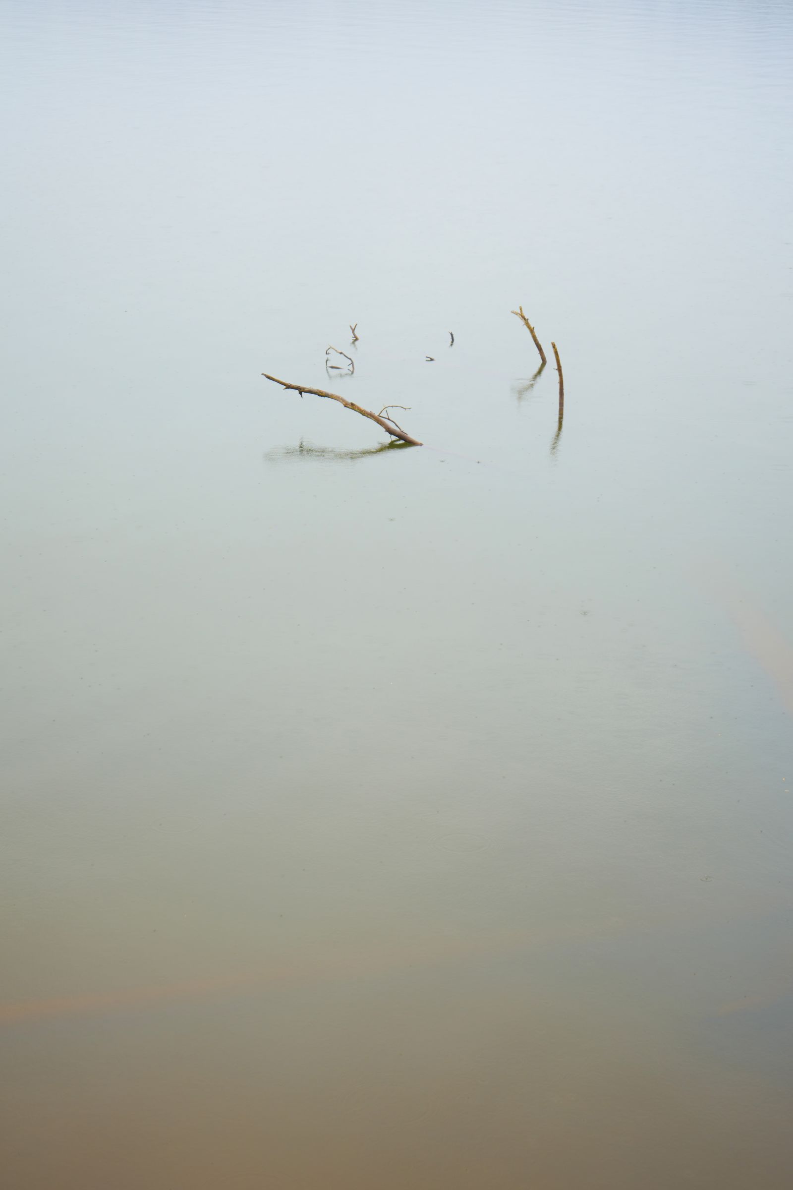 more-water-than-the-eye-could-see-1-tempe-storm-cole-_-light-50a34e02c0c0cff0262599719b750198