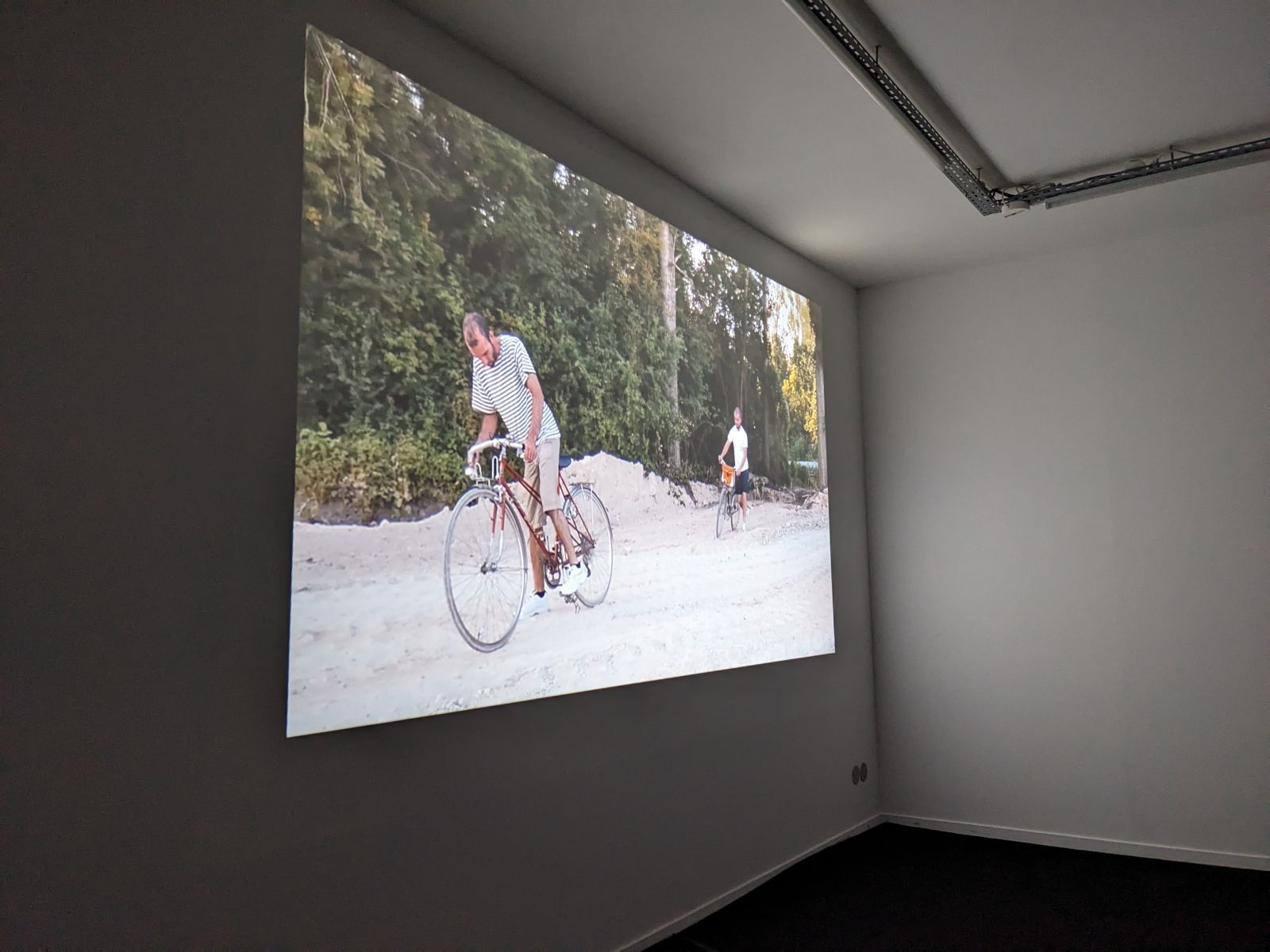 pxl_20230415_132252485-761fa0eff35e69f1eda9f441051fc1bc