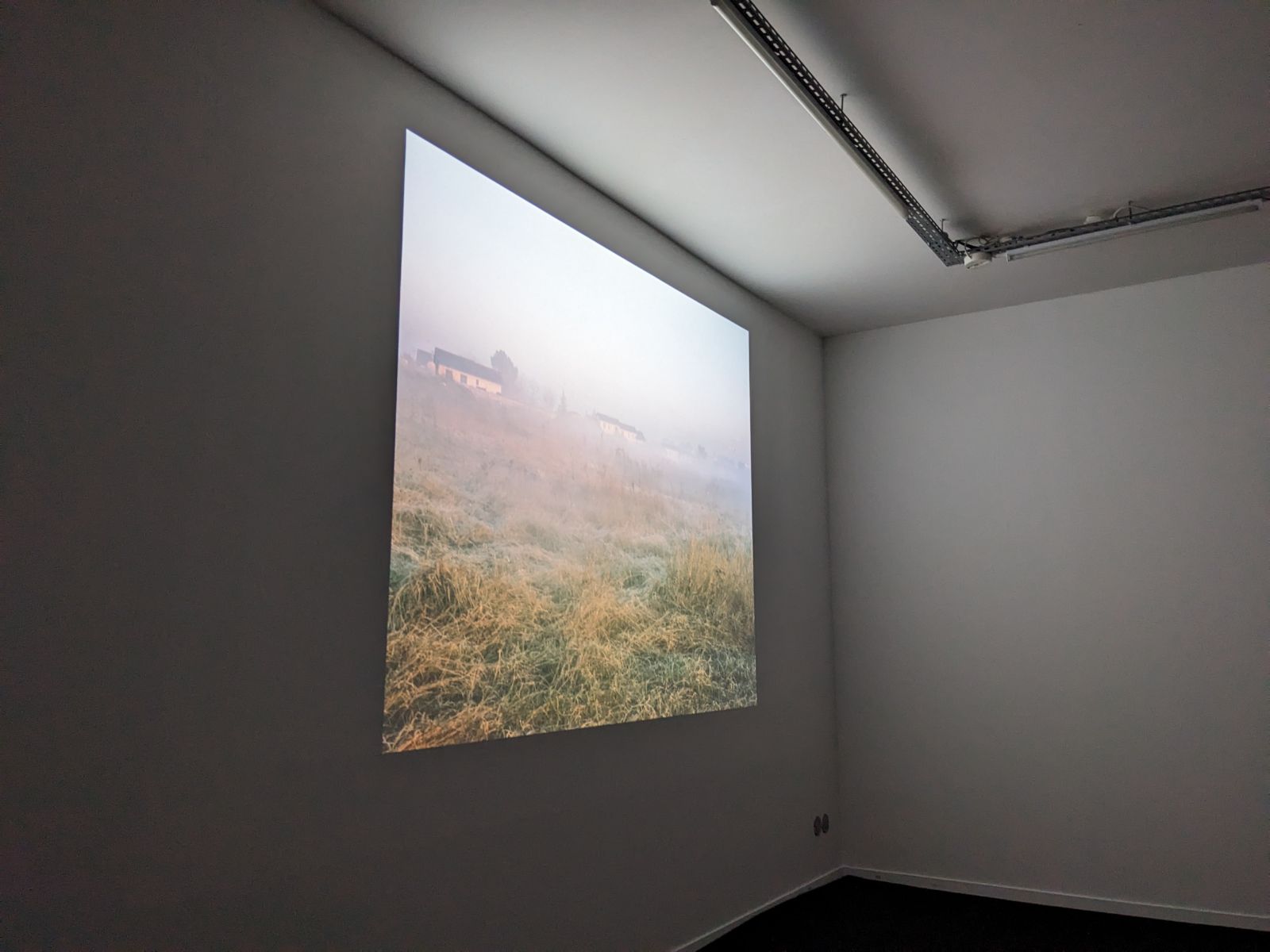 pxl_20230415_132927162-e89ef3ce62023510c998c39816428db9