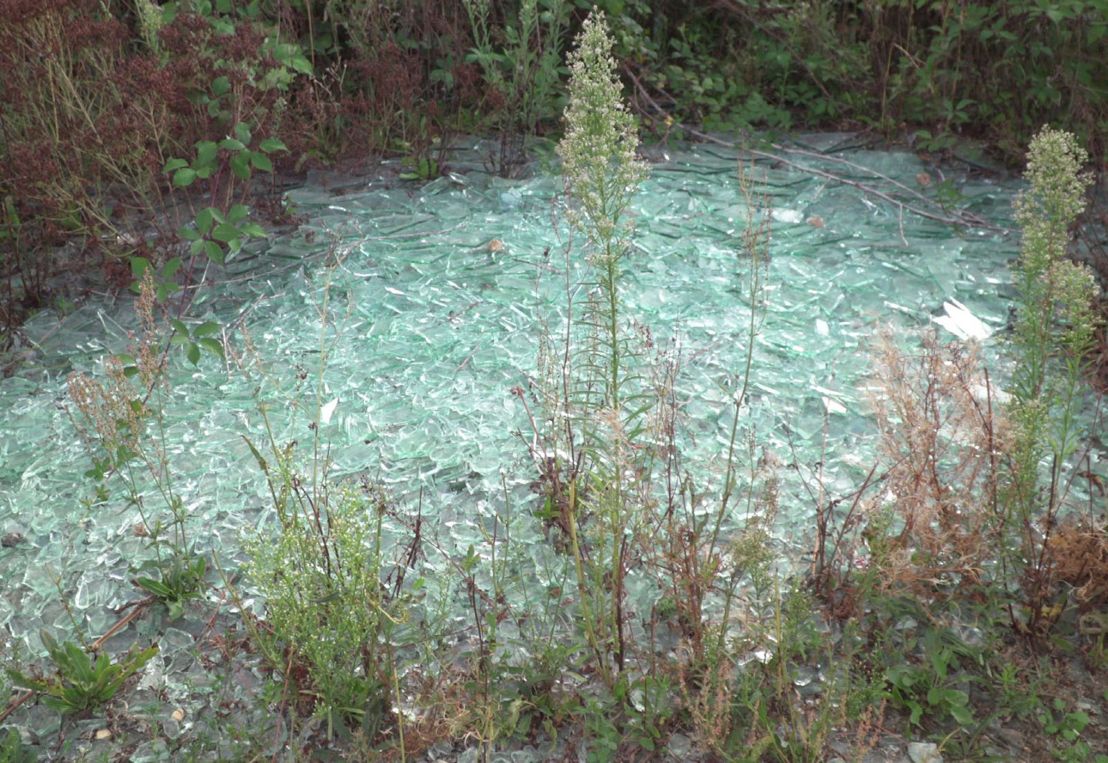 visuel-1-3ca59a005201d5b95a6eaf5d54d7e4f7