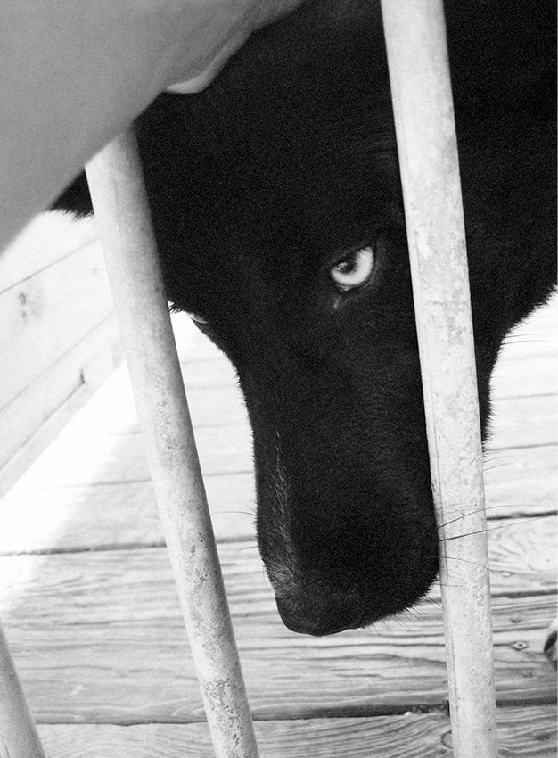 visuel-alicia-zaton-0973fba4dbdf7ab25785866470909daa